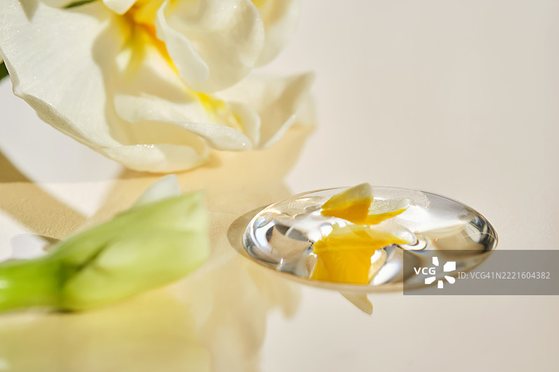 一滴血清在米色背景的白色花朵中。图片素材