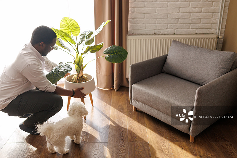 年轻男子在装饰新家图片素材