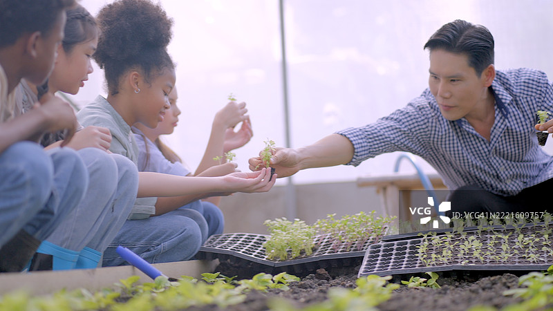 亚洲农民正在教一群多种族的孩子们关于混合农业、土壤准备、托盘中的幼苗，以及让孩子们尝试在地块中种植沙拉幼苗。孩子们正在学习有机农业。图片素材