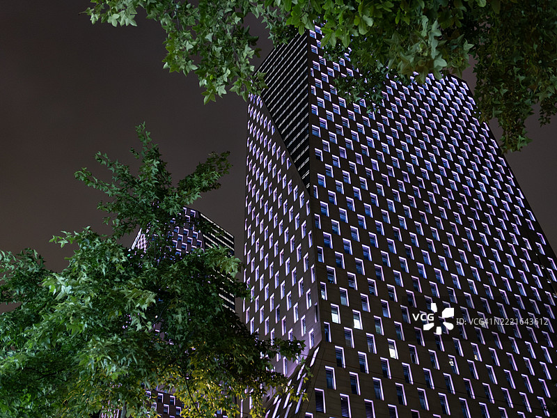 紫色灯光照亮的雕塑外立面夜景与树木剪影图片素材