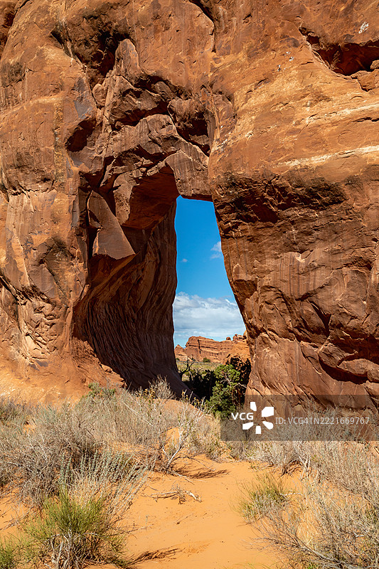 松树拱门图片素材