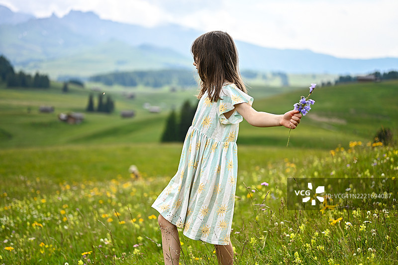 年轻女孩在阿尔卑斯山的草地上手捧鲜花漫步图片素材