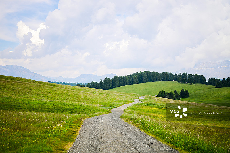 意大利阿尔卑斯山绿草甸中的蜿蜒小径图片素材