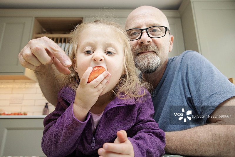 爷爷逗弄他四岁的 granddaughter，试图偷走她的草莓。图片素材