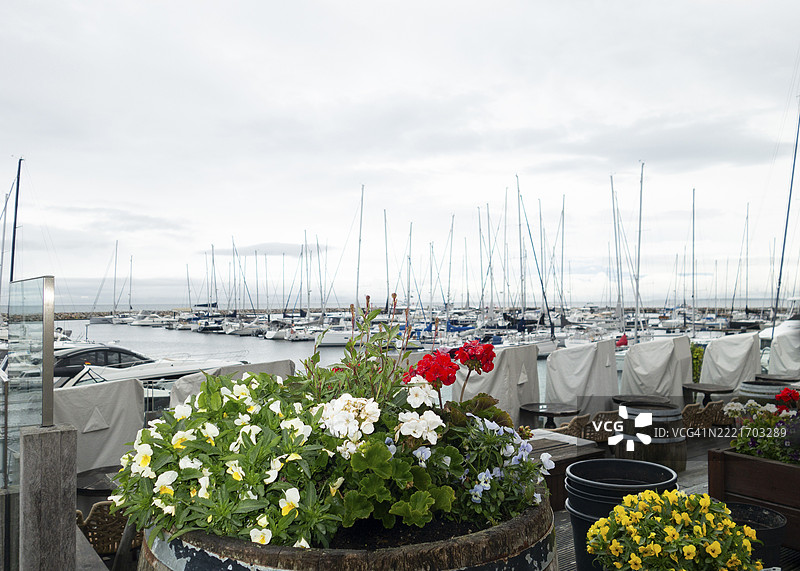波罗的海的船只港口,波罗的海度假胜地,库尔伦斯博恩-东,库尔伦斯博恩,罗斯托克区,梅克伦堡-前波美拉尼亚,德国,欧洲图片素材