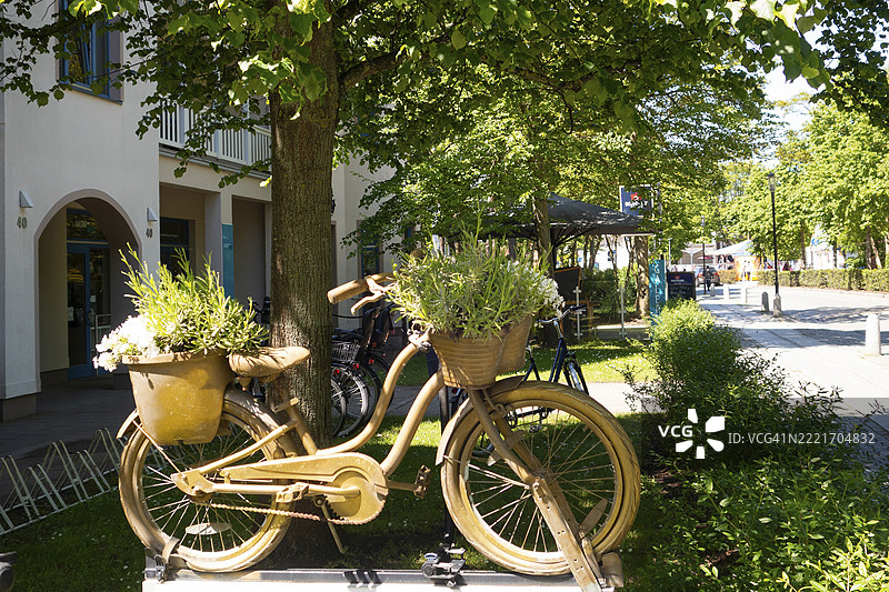 装饰性自行车、植物、户外区域、波罗的海、波罗的海度假胜地、库尔伦斯博恩、罗斯托克区、梅克伦堡-前波美拉尼亚、德国、欧洲图片素材