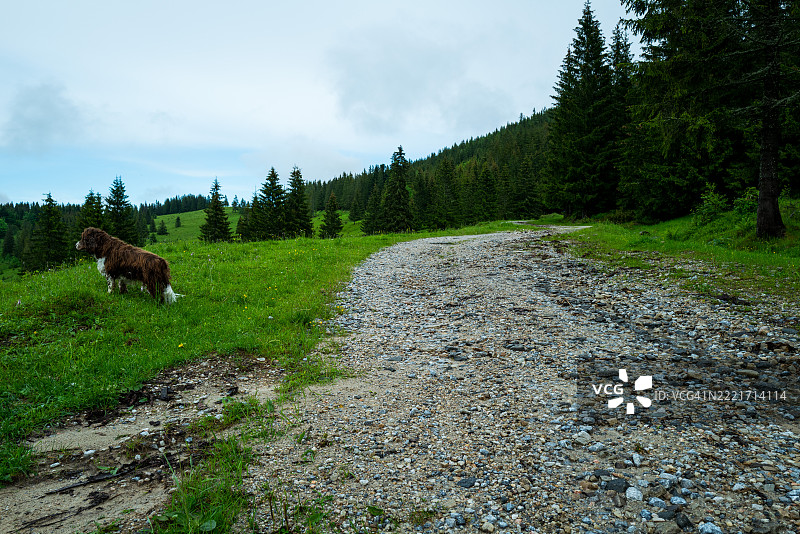 斯洛伐克的天空下风景如画的景观图片素材