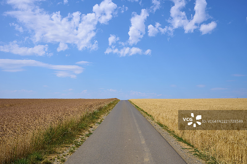 在明亮的夏季天空下，金色和棕色谷物田之间的笔直小路，德国巴伐利亚州Main Spessart区Retzstadt，夏季。图片素材