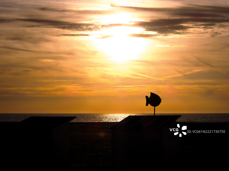 日落时分，海滩上鱼的剪影映衬着天空图片素材
