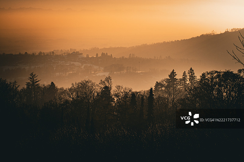日落时分，树木的剪影映衬在天空中图片素材