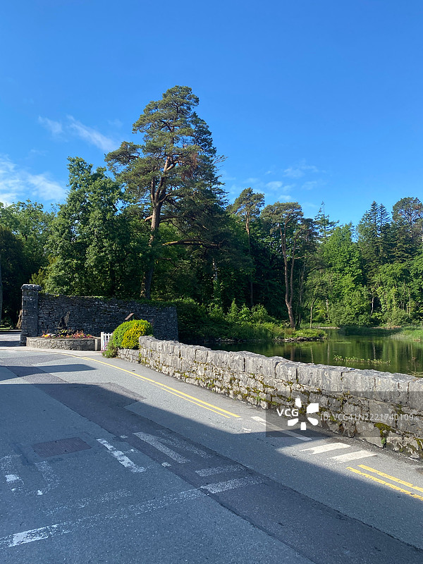 爱尔兰康的蓝天下，路边的树木图片素材