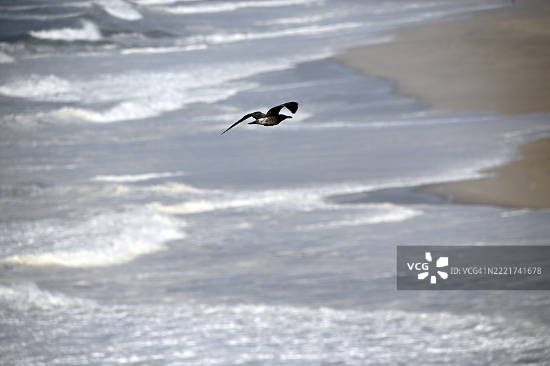 著名的纳扎尔北滩上令人印象深刻的海浪图片素材