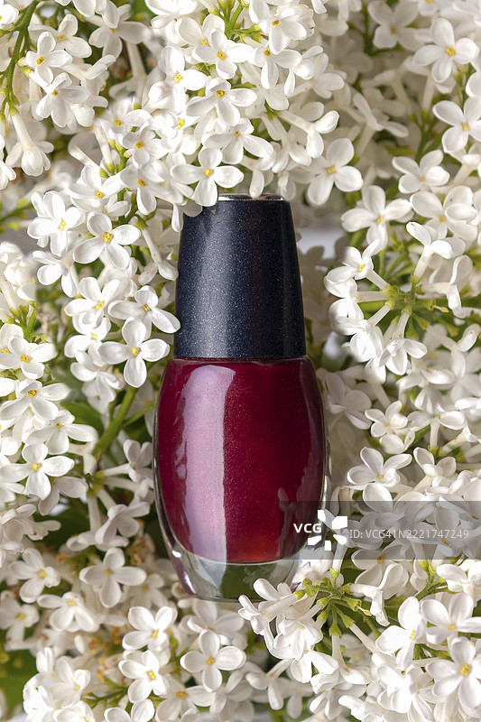 白色樱花中的红色指甲油，样机展示图片素材