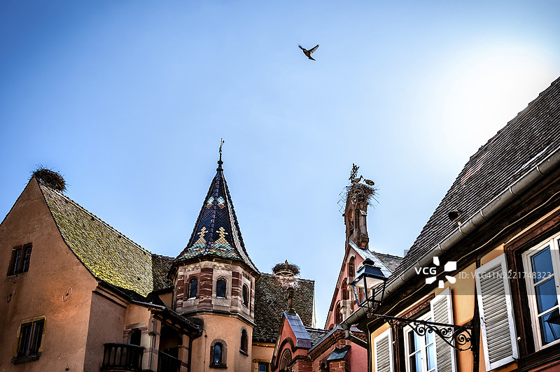 一只鹳在法国阿尔萨斯埃吉斯海姆的晴朗天空下飞过装饰华丽的历史屋顶和山墙图片素材