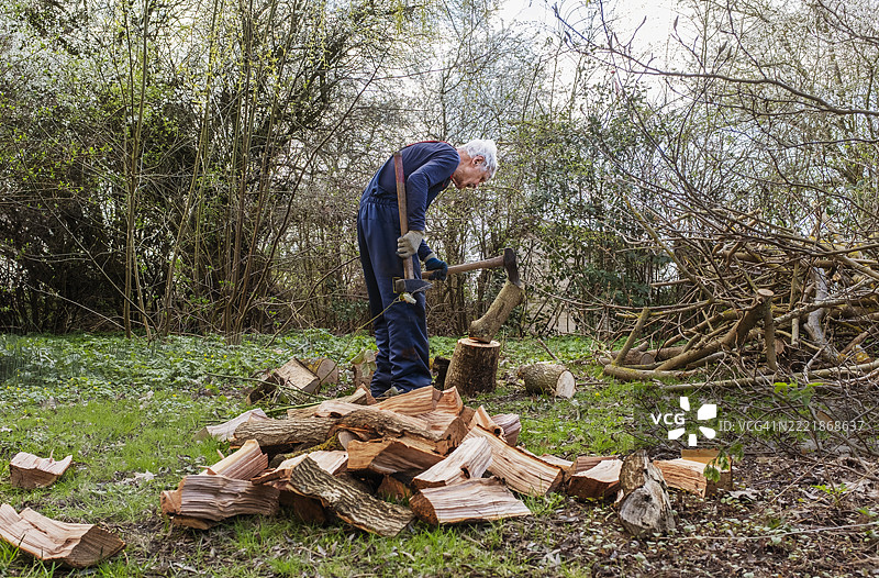 老年男性伐木工人在森林中用斧头砍木头。图片素材