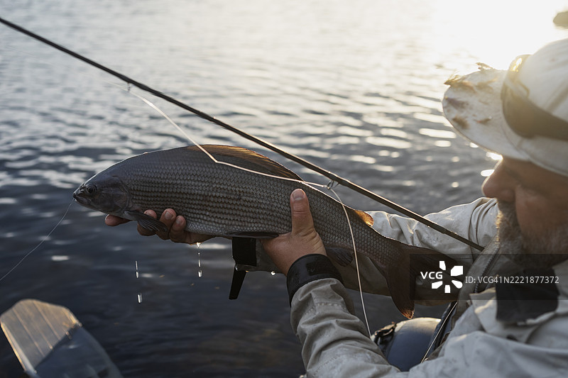 高角度视图的男子在河边拿着鱼图片素材