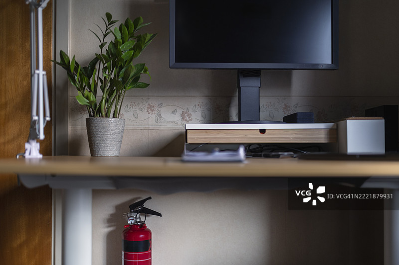 桌子上电脑显示器旁的室内植物图片素材