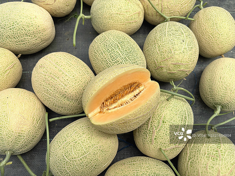 一组成熟的哈密瓜，表面有自然的网状皮肤，果肉暴露。色彩鲜艳的农场新鲜水果展示，适合自然食品主题和市场。图片素材