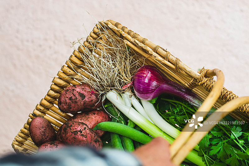 农民手持编织篮，里面装满新鲜采摘的蔬菜图片素材