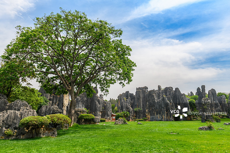 石林（Shilin），位于中国云南省昆明附近的喀斯特地貌图片素材