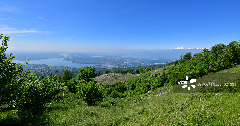 意大利阿尔卑斯山被毁坏的森林图片素材