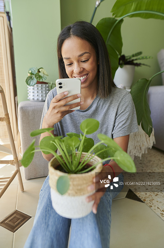 女人用智能手机拍摄家里的植物图片素材