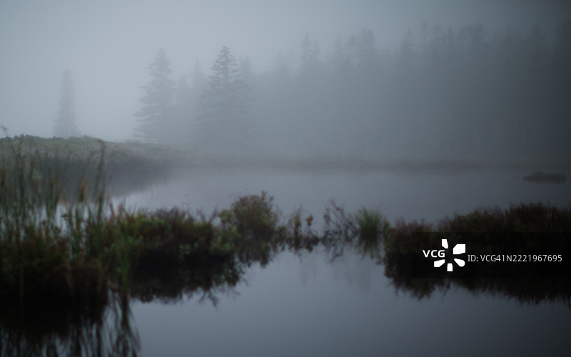 雾气笼罩着缅因州的水景图片素材
