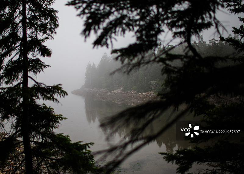 雾气笼罩着缅因州的水景图片素材