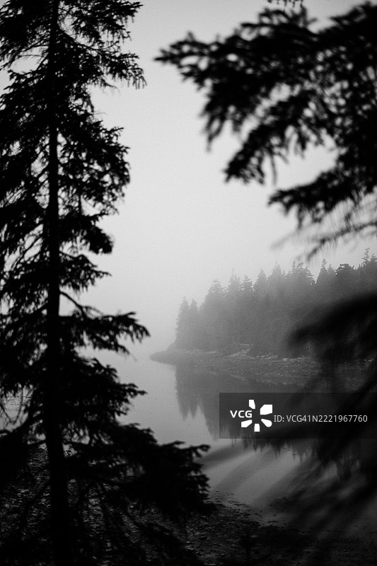 雾气笼罩着缅因州的水景图片素材