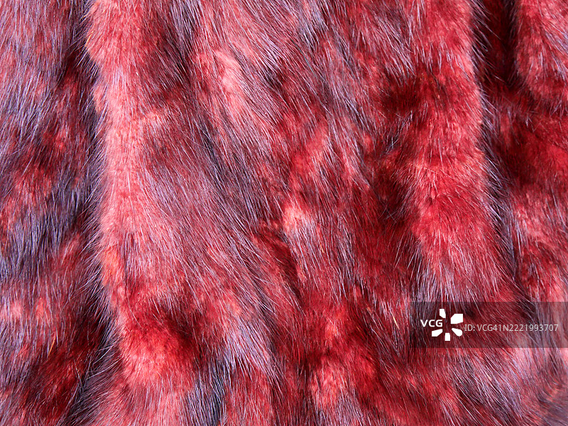 红色仿毛皮大衣的特写。阳光。自然色彩。比利时布鲁塞尔。全画幅 4:3图片素材