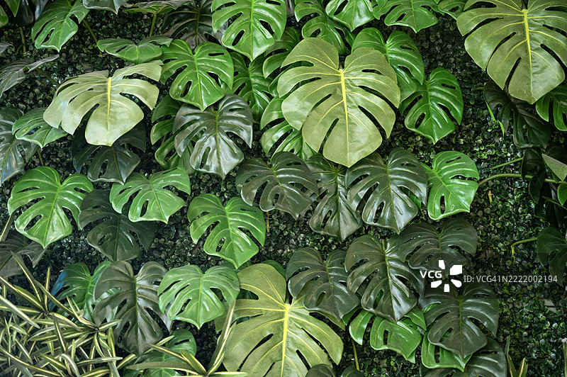 建筑外墙上的人造植物叶塑料面板图片素材