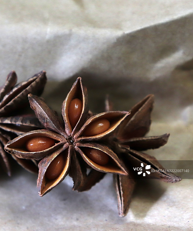 八角茴香（Illicium verum）特写，带有种子图片素材