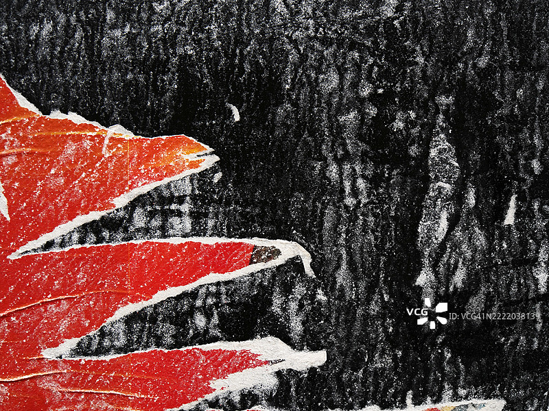 黑墙上粘贴和撕裂的红纸特写。粗糙的纹理。自然的光泽和色彩。阳光。比利时布鲁塞尔。全画幅 4:3图片素材