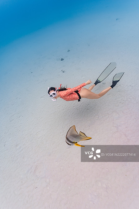 穿着潜水装备的女性在沙质海床上游泳，仔细观察清澈浅海水中的色彩斑斓的热带鱼。图片素材