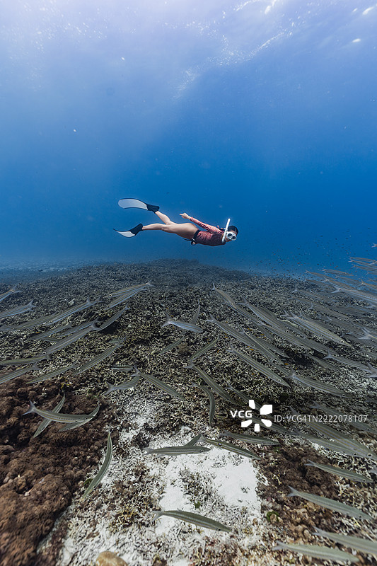 穿着潜水装备的女性在清澈的热带海水中，平静地漂浮在珊瑚礁上，周围环绕着密集的鱼群。图片素材