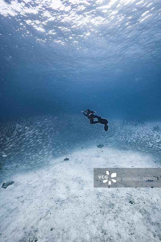 穿着黑色自由潜水装备的女性在清澈的海水中，轻盈地滑过沙底上方旋转的鱼群。图片素材