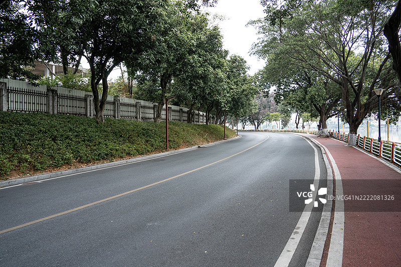 穿过森林的沥青道路图片素材