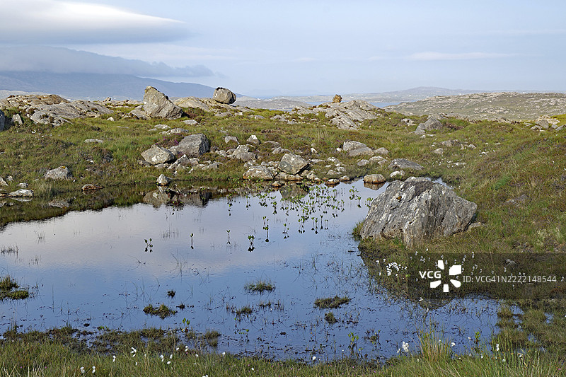 宁静的沼泽地景观中的小池塘，周围有岩石和云彩，位于英国苏格兰赫布里底群岛的刘易斯岛塔尔伯特。图片素材