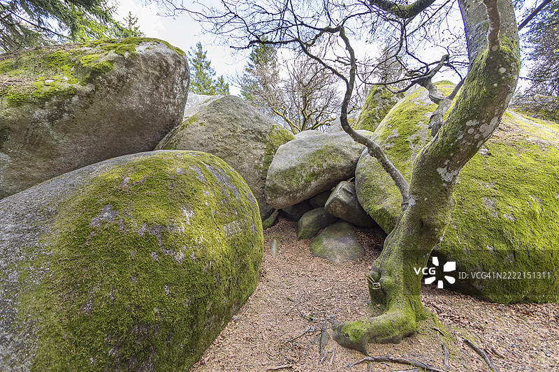 德国巴登-符腾堡州黑森林的多瑙河源头附近的花岗岩岩石古恩特费尔森图片素材