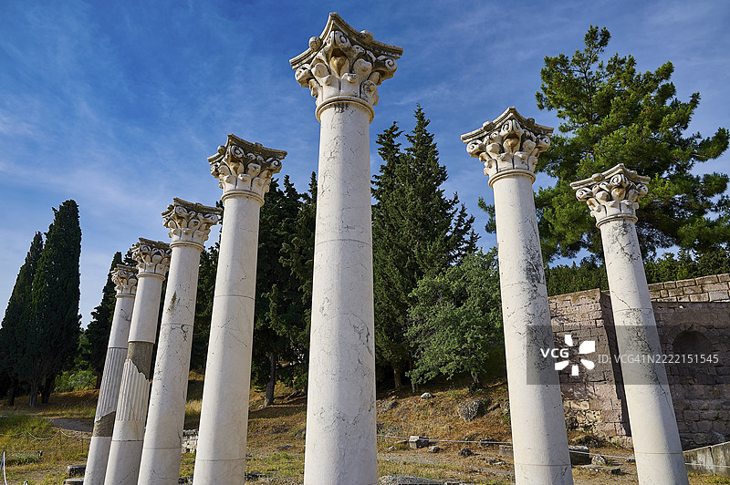 古代柱子景观，背景为盛开的树木和蓝天，阿波罗神庙，科林斯柱式，阿斯克勒庇俄斯神庙，疗愈神庙，神庙，希波克拉底，科斯，佐泽卡尼萨，希腊岛屿，希腊，欧洲图片素材