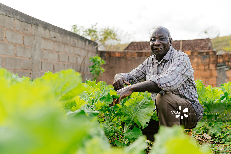 一位老人在简朴的后院花园中的肖像图片素材