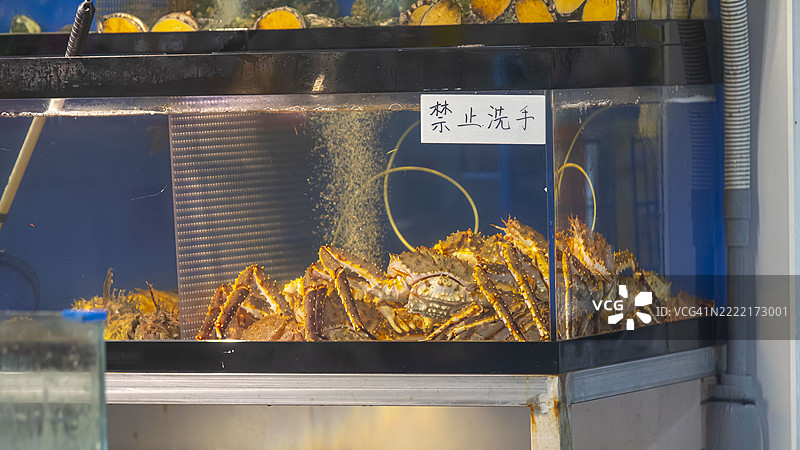 横滨桥福建海鲜店的阿拉斯加帝王蟹水族箱图片素材