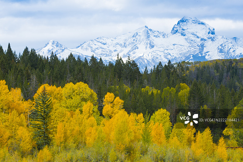 落基山脉与秋季的白杨树图片素材