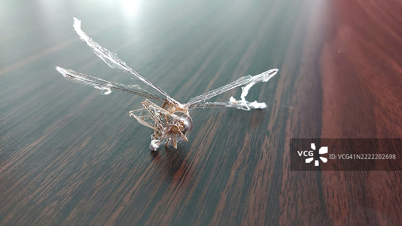 精致的水晶蜻蜓雕像放置在抛光的深色木质表面上图片素材