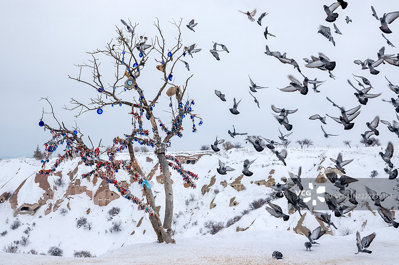 卡帕多奇亚鸽子谷的冬季景色图片素材