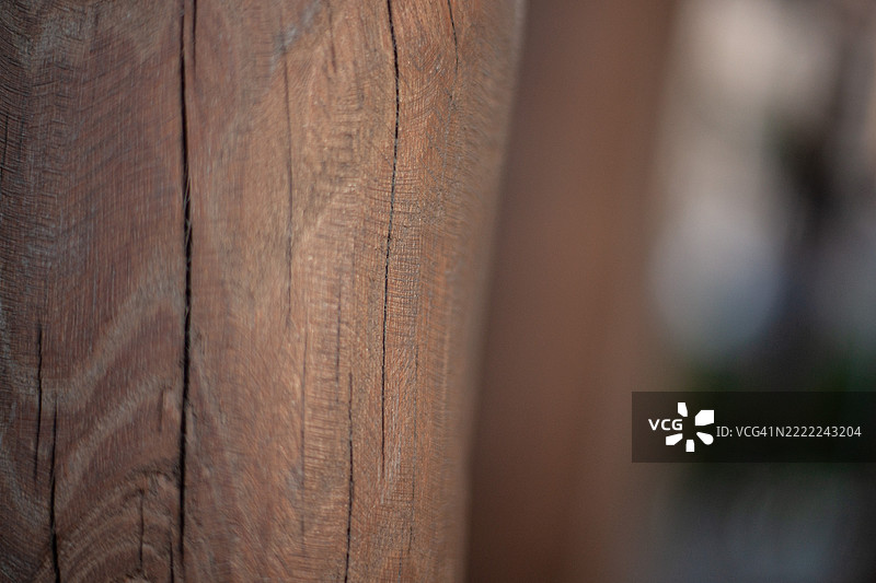 没有树皮的树木纹理图片素材