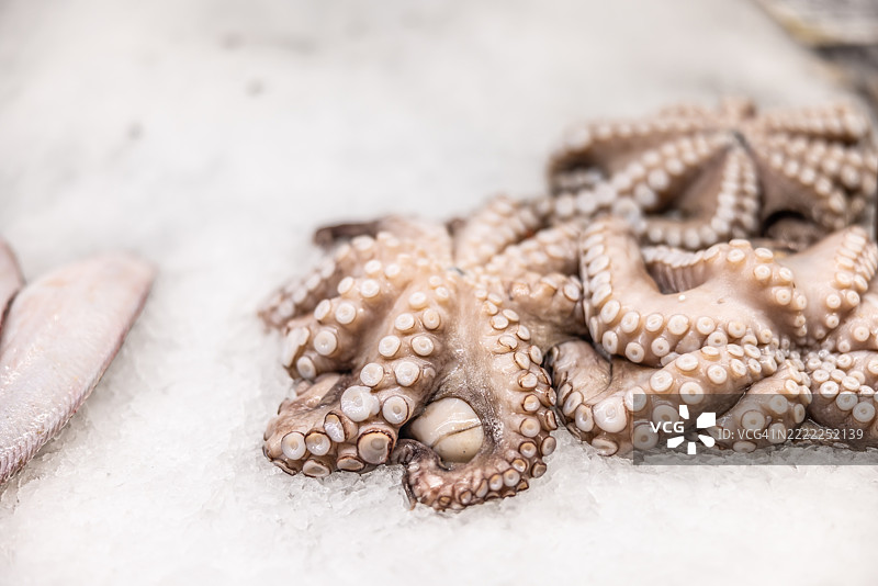 鱼市场上冰上新鲜的章鱼图片素材