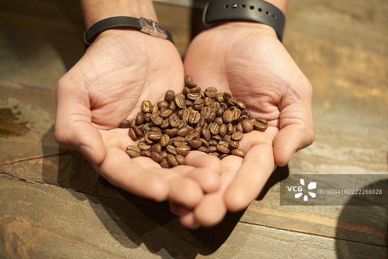 咖啡师手中捧着烘焙好的咖啡豆图片素材