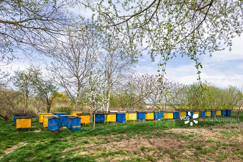 一个色彩斑斓的蜂场图片素材