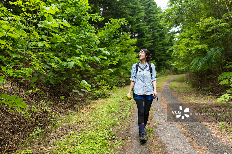 独自女性徒步旅行者欣赏森林美景图片素材